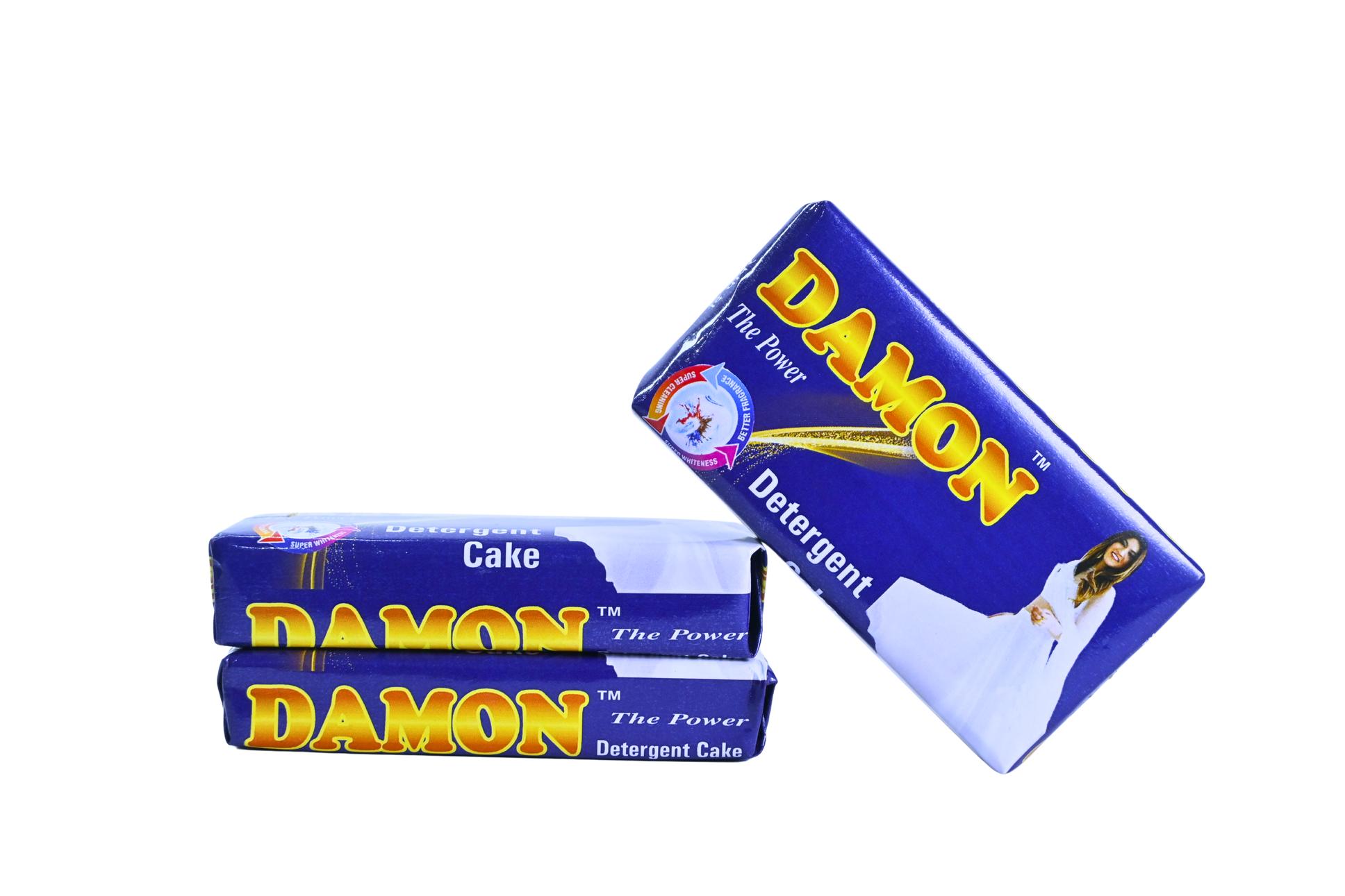Damon Detergent Cake